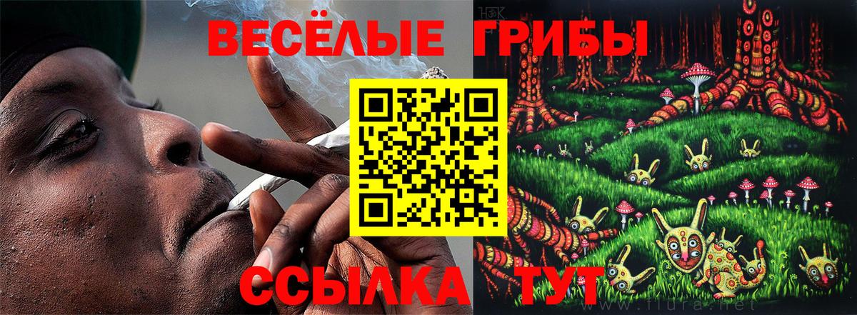 магазин  наркотиков  Галлюциногенные грибы мухоморы  Псилоцибиновые грибы ЛСД  Вход с VPN  Старая Русса 