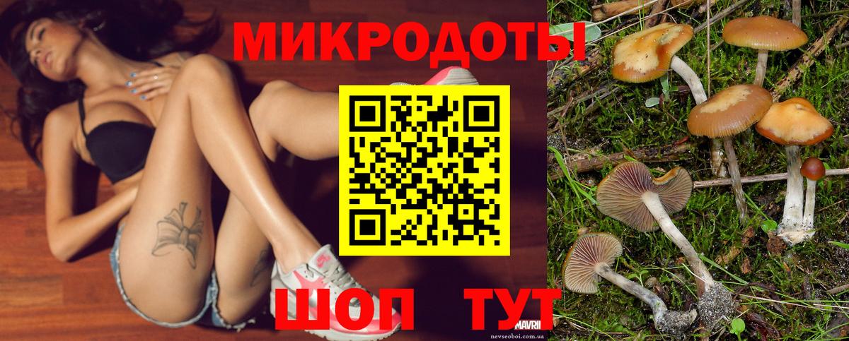 Галлюциногенные грибы Psilocybine cubensis Старая Русса